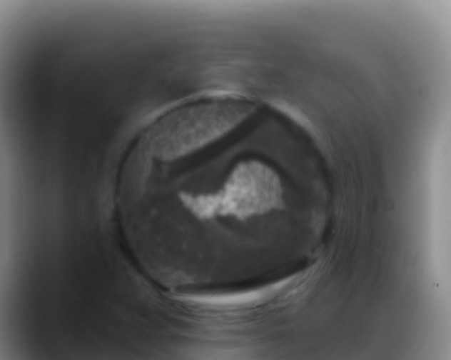 X0000088921359200706151917