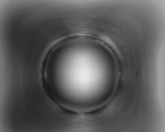 X0000088921360200706151917