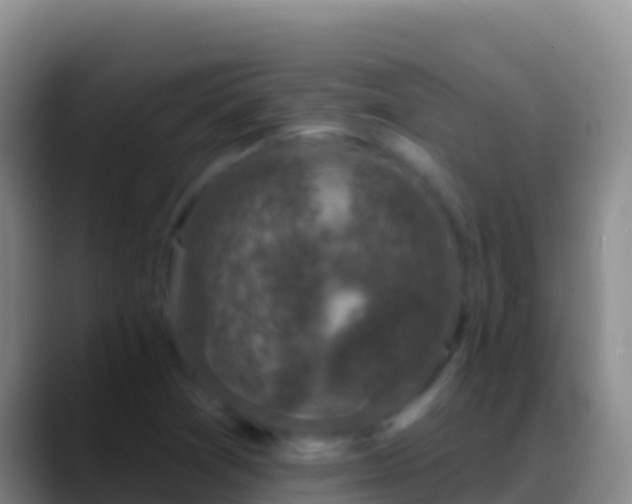 X0000088921361200706151917