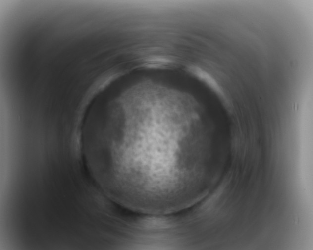 X0000088921362200706151917