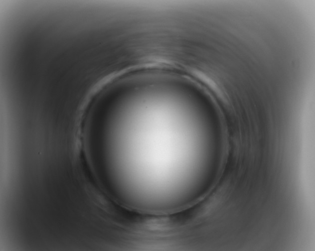 X0000088921363200706151917