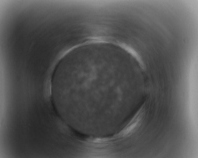 X0000088921365200706151917