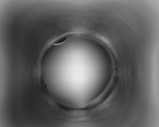 X0000088921366200706151917