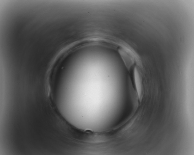 X0000088921368200706151917
