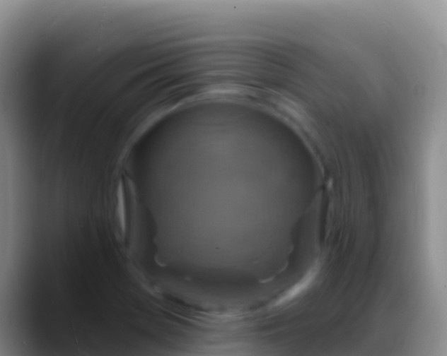 X0000088921369200706151917