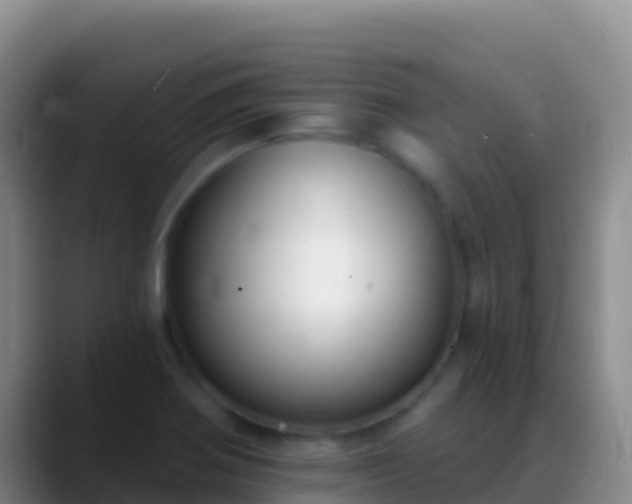 X0000088921370200706151917
