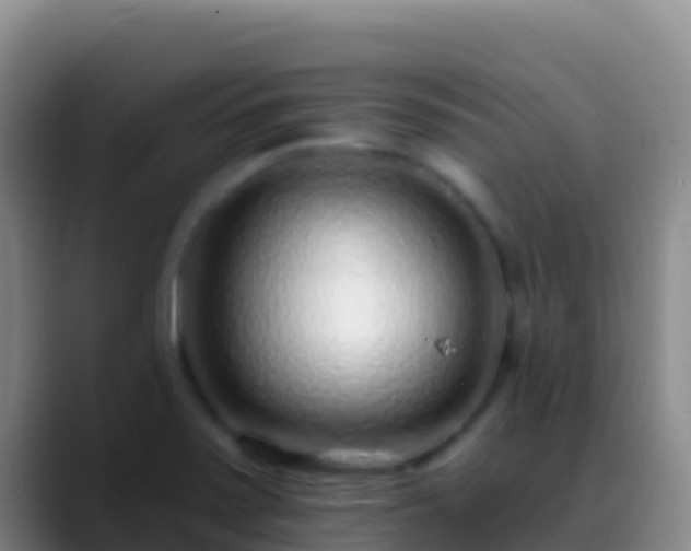 X0000088921371200706151917