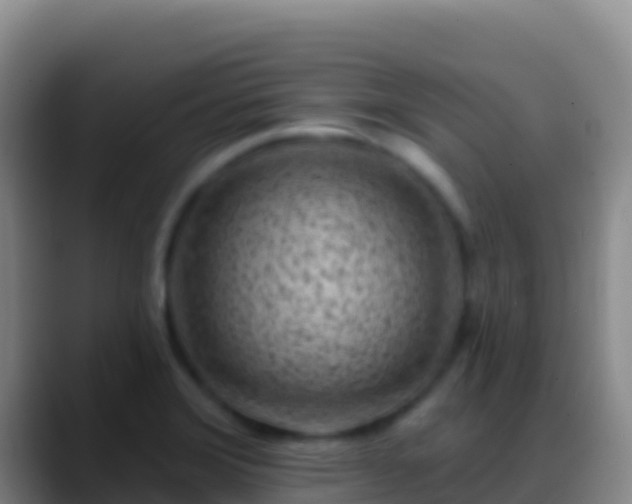 X0000088921372200706151917