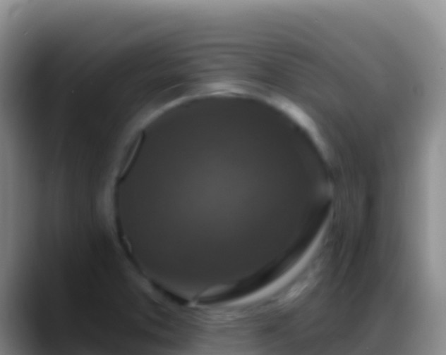 X0000088921373200706151917