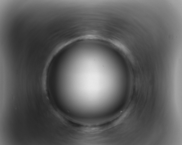 X0000088921374200706151917