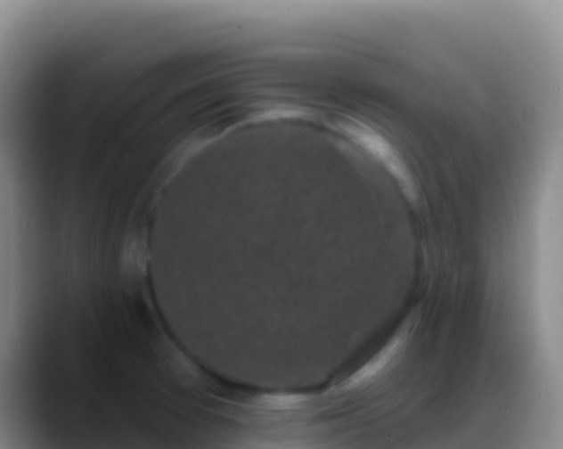 X0000088921377200706151917