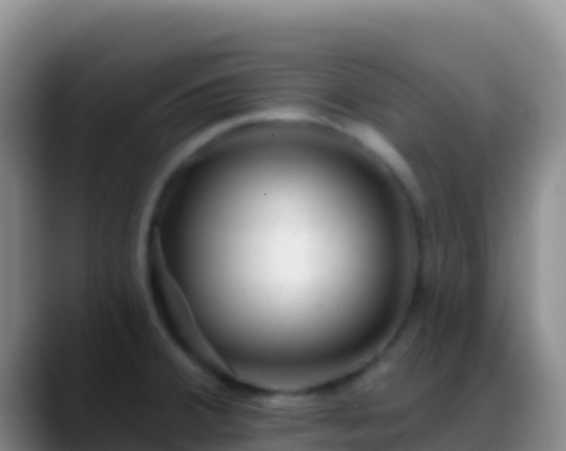 X0000088921380200706151917