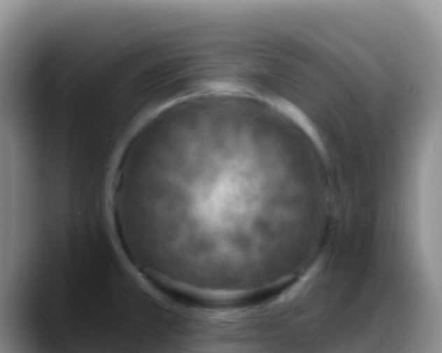 X0000088921381200706151917
