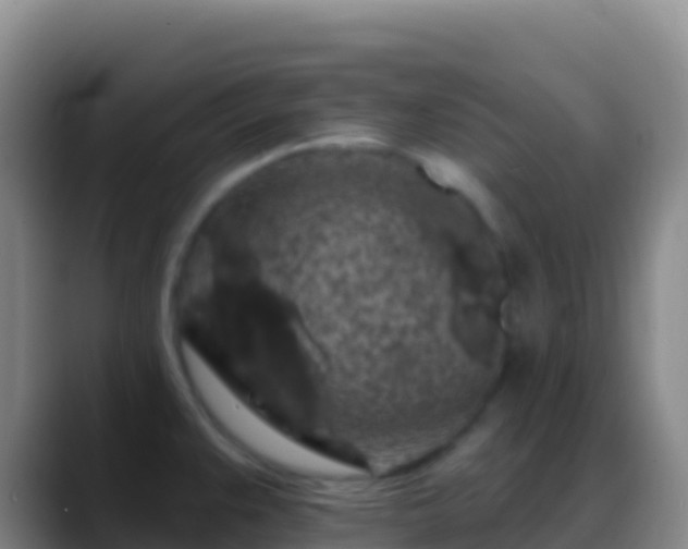X0000088921383200706151916