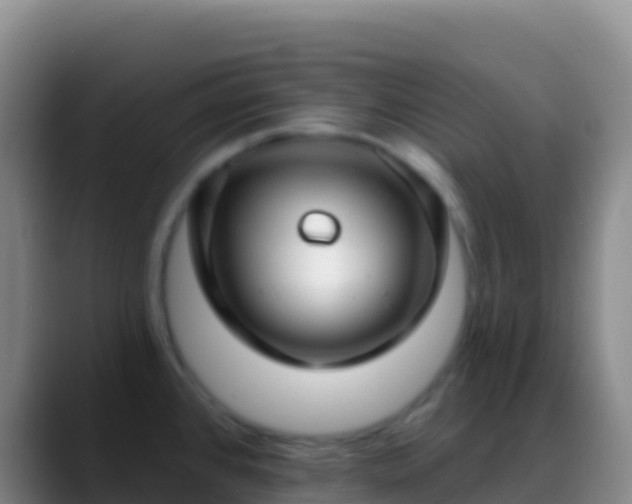 X0000088921384200706151916
