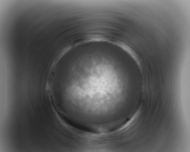 X0000088921385200706151916