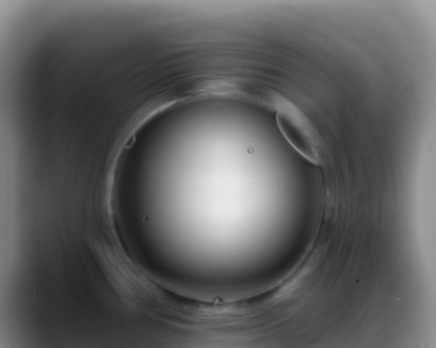 X0000088921386200706151916