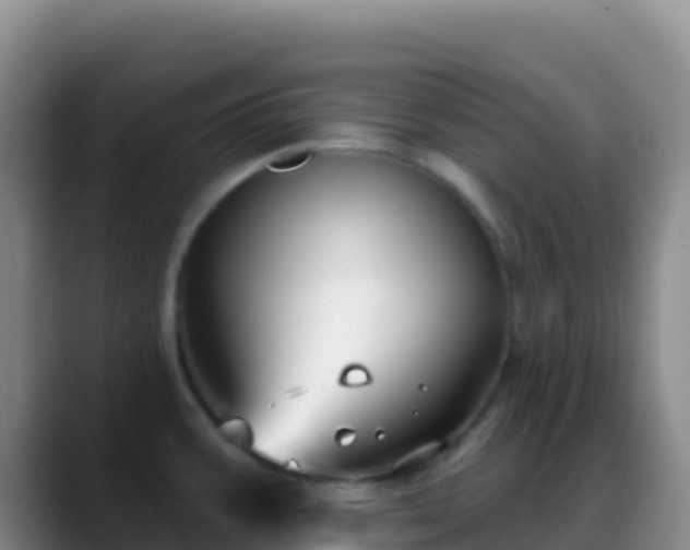 X0000088921387200706151916