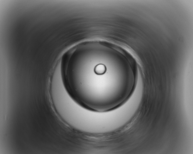 X0000088921388200706151916