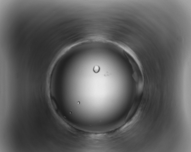 X0000088921389200706151916