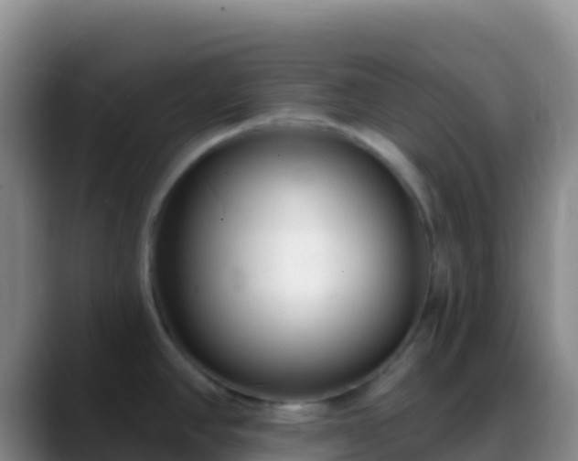 X0000088921390200706151916