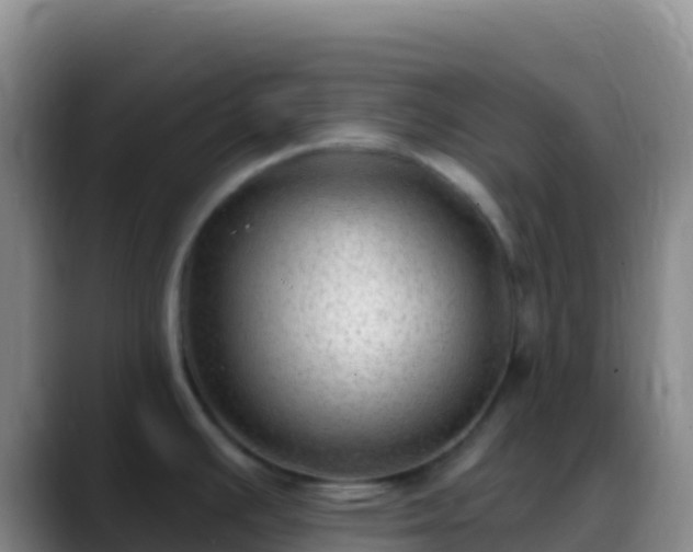 X0000088921391200706151916