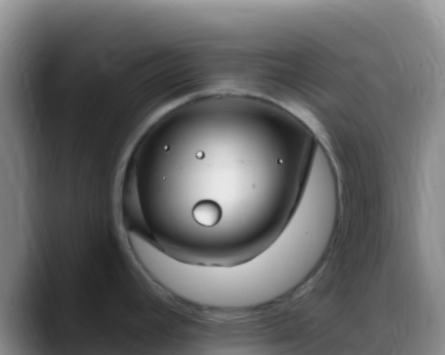 X0000088921392200706151916