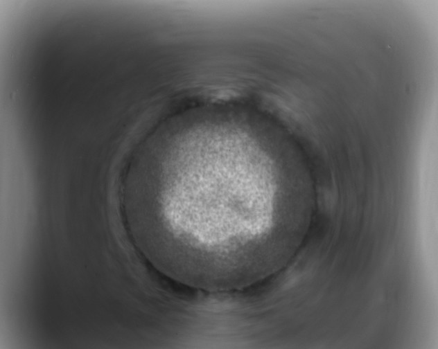 X0000088921393200706151916