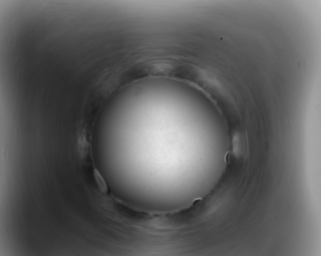 X0000088921395200706151916