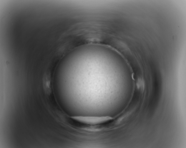 X0000088921396200706151916