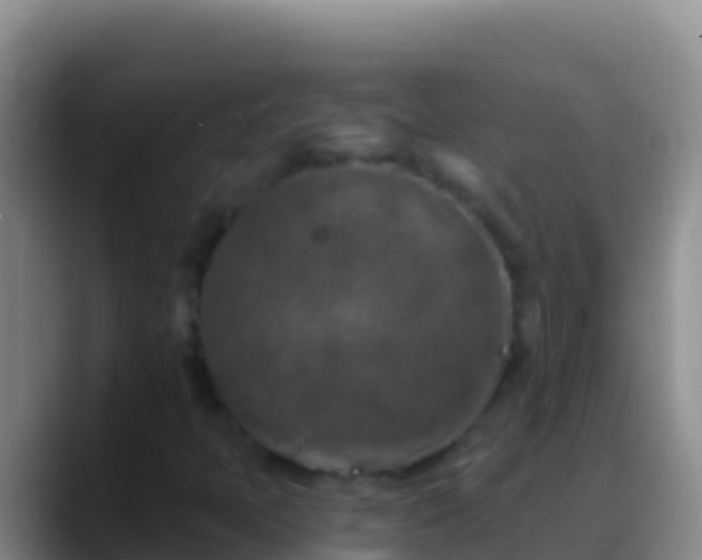 X0000088921397200706151916