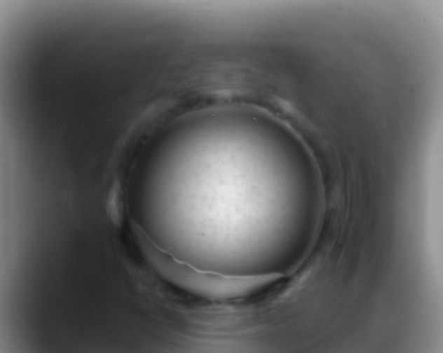 X0000088921398200706151916