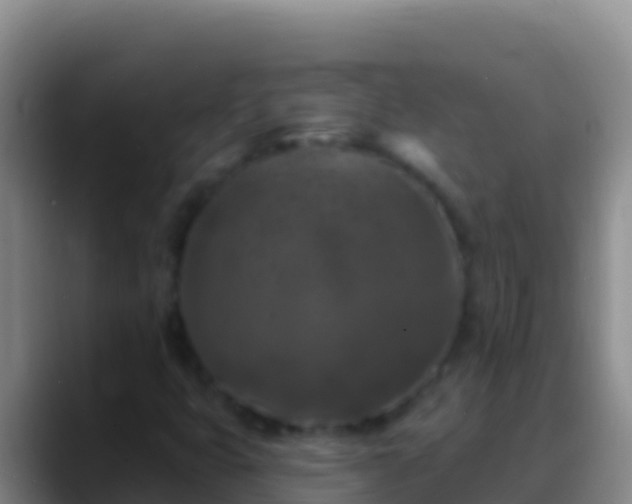 X0000088921399200706151916