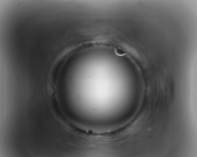 X0000088921400200706151916
