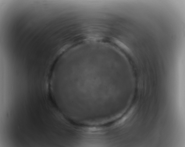X0000088921401200706151916