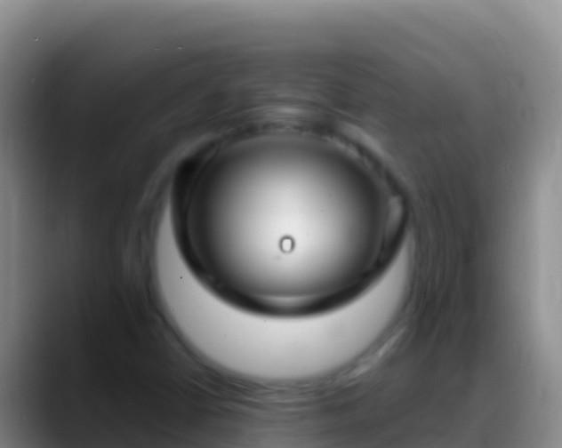 X0000088921402200706151916