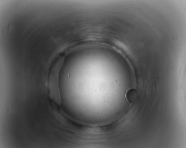 X0000088921403200706151916