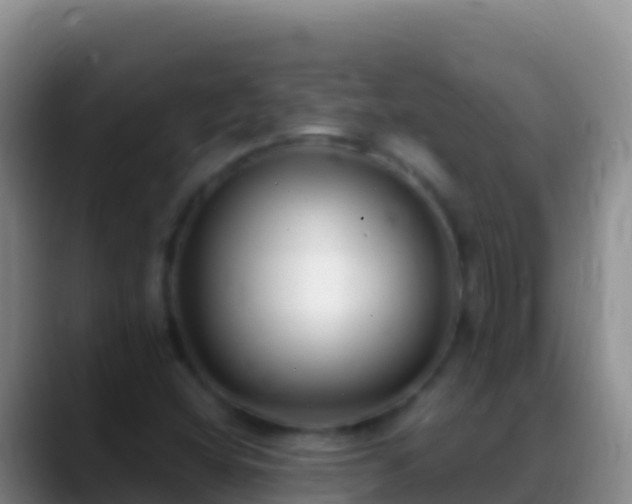 X0000088921404200706151916