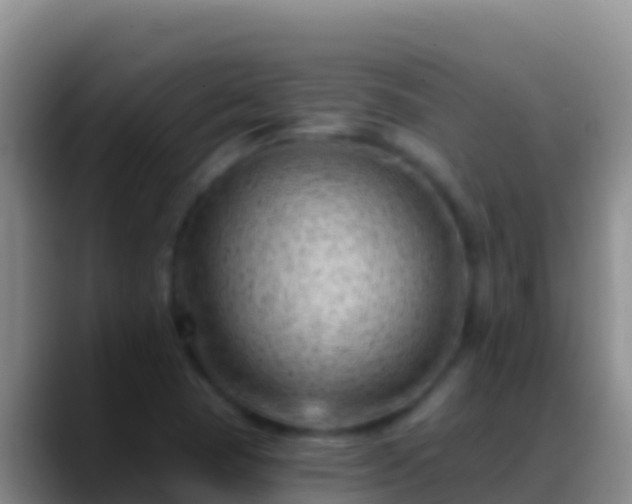 X0000088921409200706151916