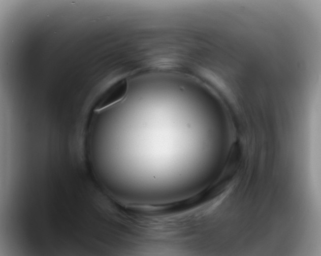 X0000088921410200706151916