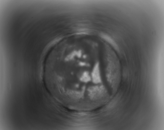 X0000088921411200706151916