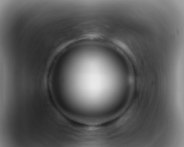 X0000088921412200706151916