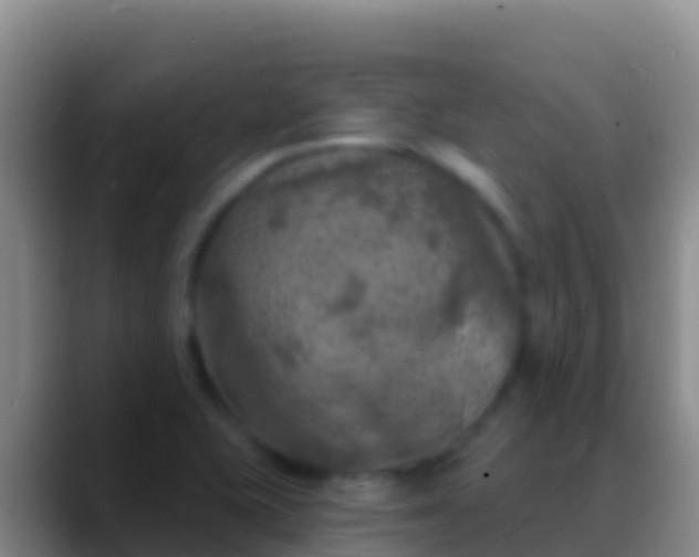 X0000088921415200706151916