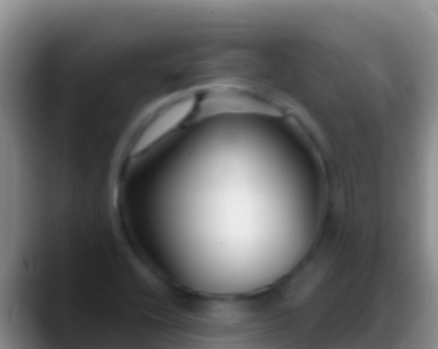 X0000088921416200706151916