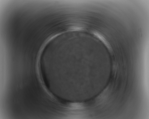 X0000088921418200706151916