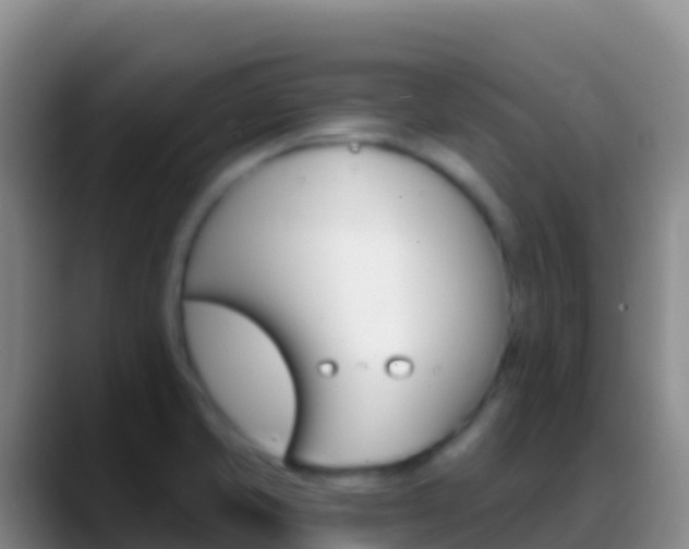 X0000088921421200706151916