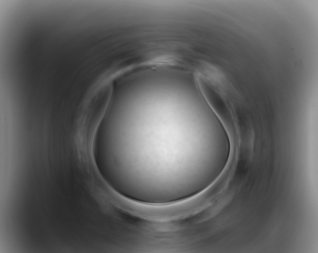 X0000088921422200706151916