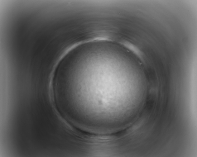 X0000088921423200706151916