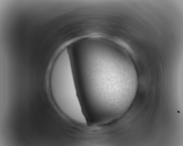 X0000088921424200706151916
