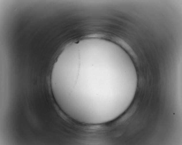 X0000088921425200706151916